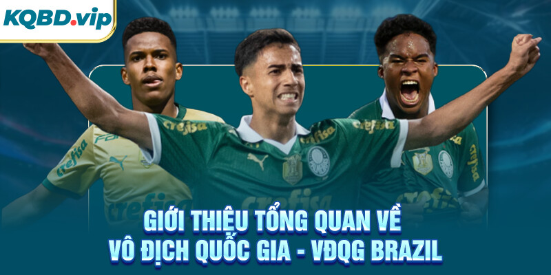 VĐQG Brazil 36 Giới thiệu tổng quan về VĐQG Brazil