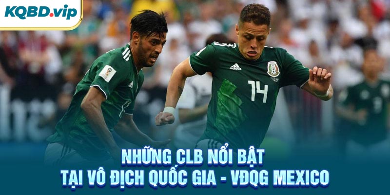 VĐQG Mexico 45 Những CLB nổi bật tại VĐQG Mexico