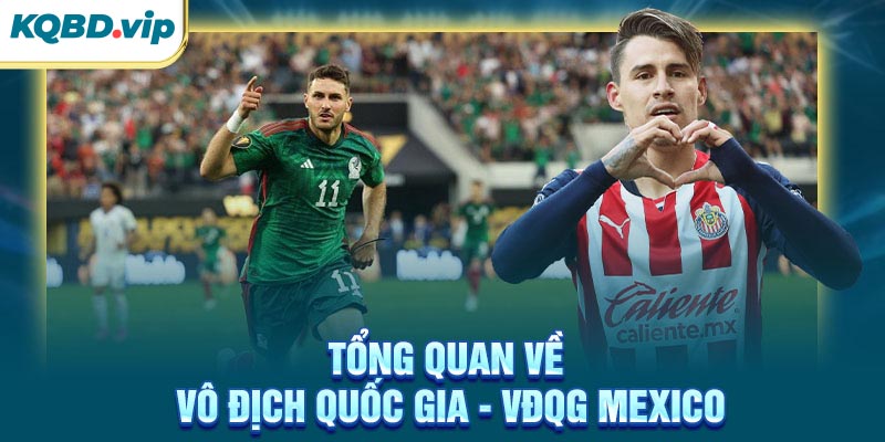 VĐQG Mexico 44 Tổng quan về VĐQG Mexico