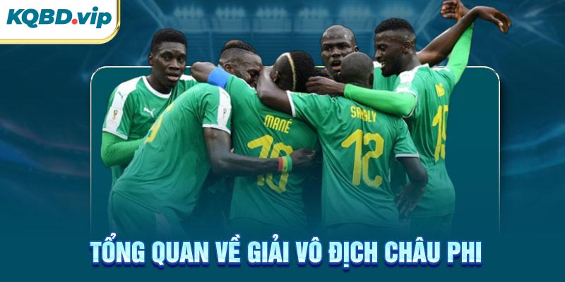 Vô Địch Châu Phi 31 Tổng quan về giải vô địch Châu Phi